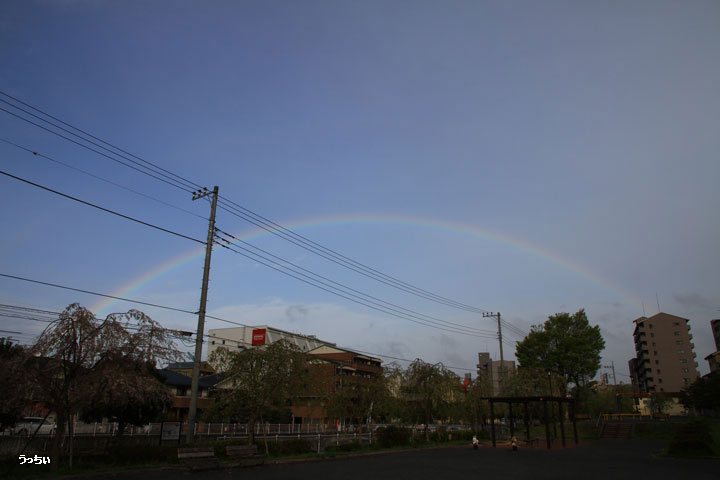 虹が、撮れました。