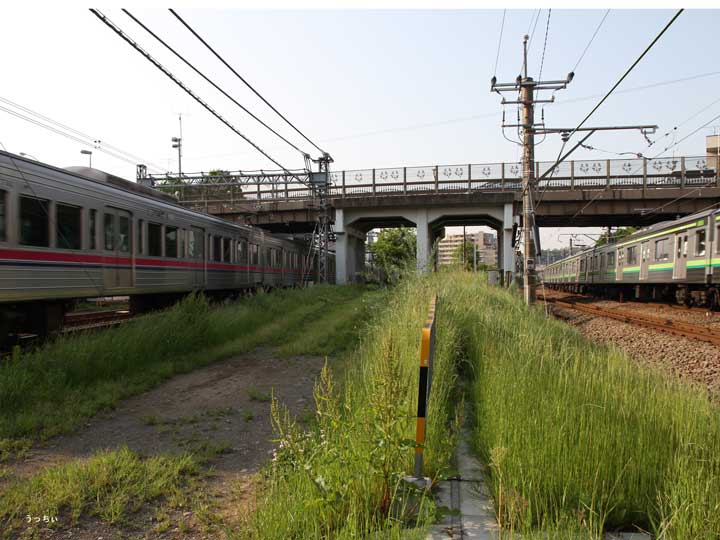JR横浜線電車と京王線の踏切の間から北野橋を見上げる。